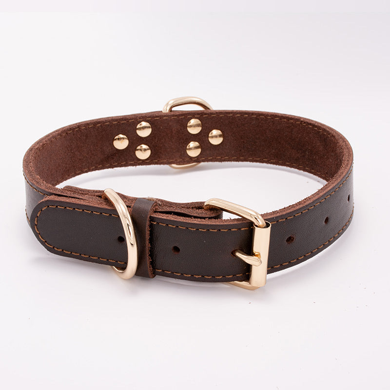 Dog collar