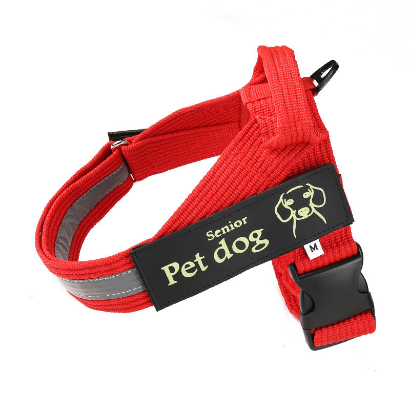 Dog leash and chest harness