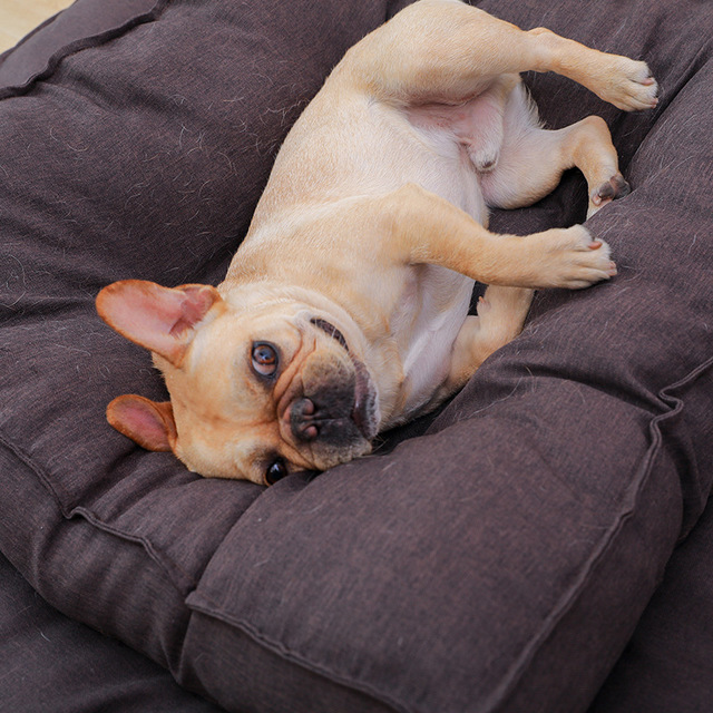 Square Dog Bed